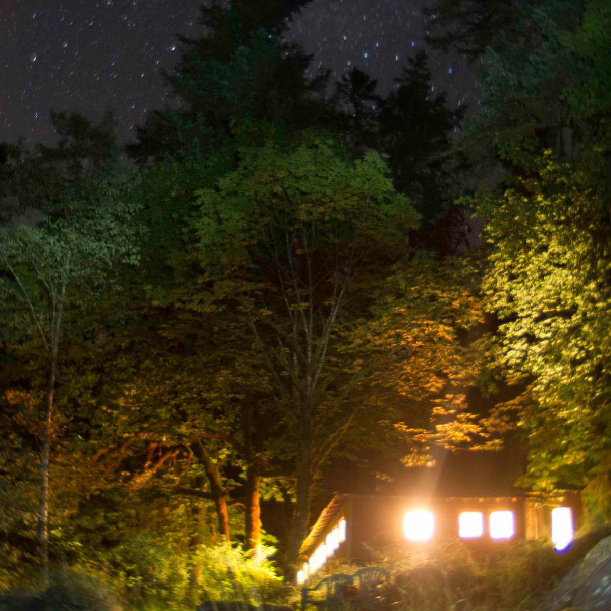 A cabin illuminated by warm lights stands amidst trees under a starry night sky.