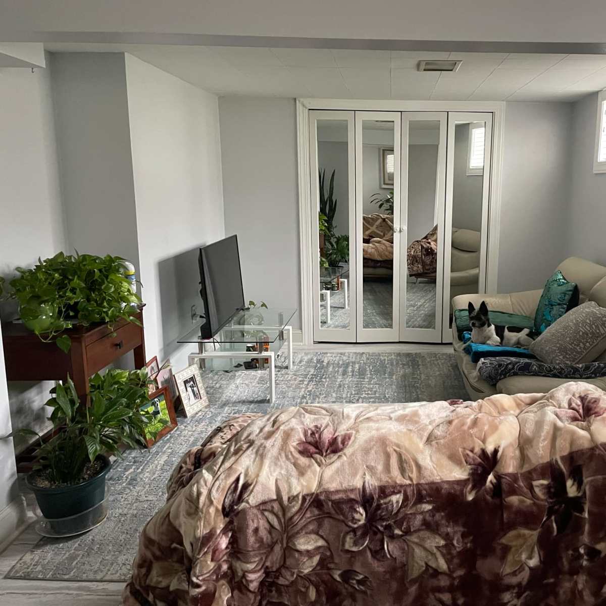 5 minute walk to the Forest preserve. 10 minute drive to Lake Michigan