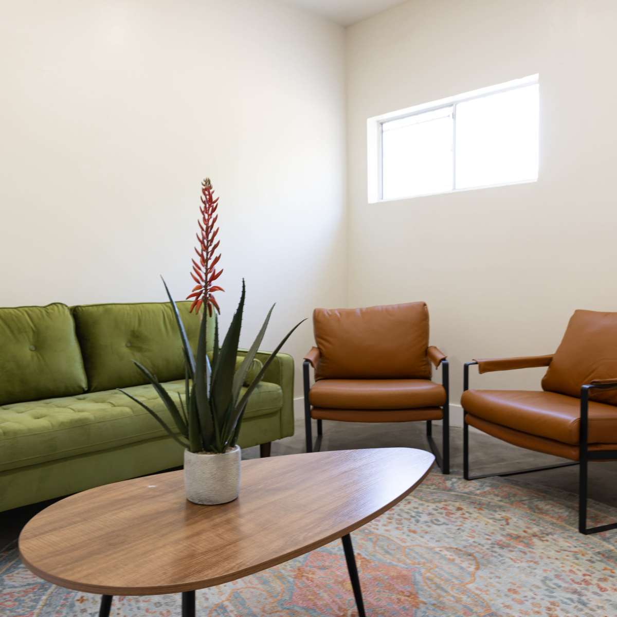 A small, modern sitting area with a green couch, two brown chairs, a round wooden table, and a potted plant on a decorative rug.