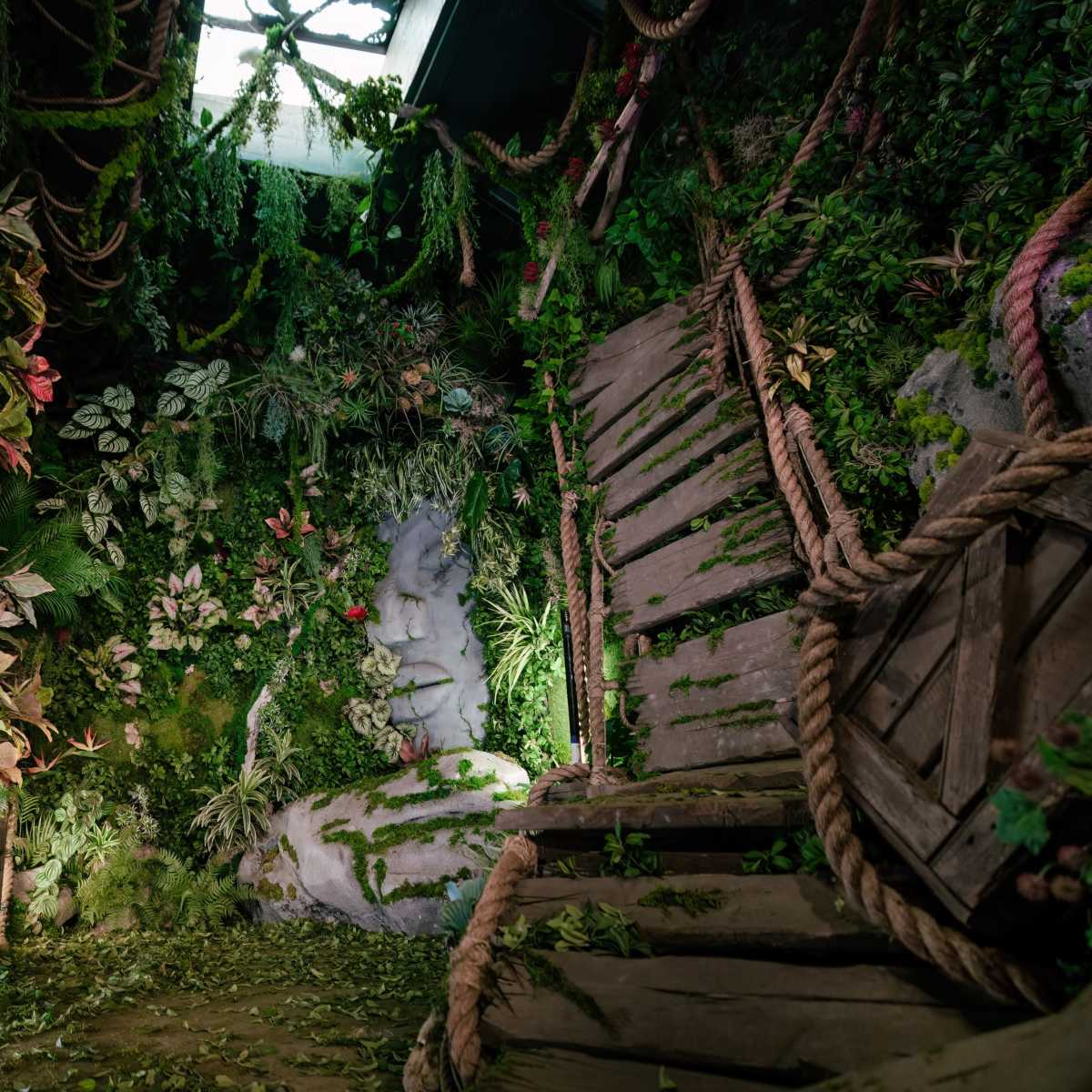 A lush, green interior space featuring a wall covered in various plants, with a wooden chair and a door in the foreground.