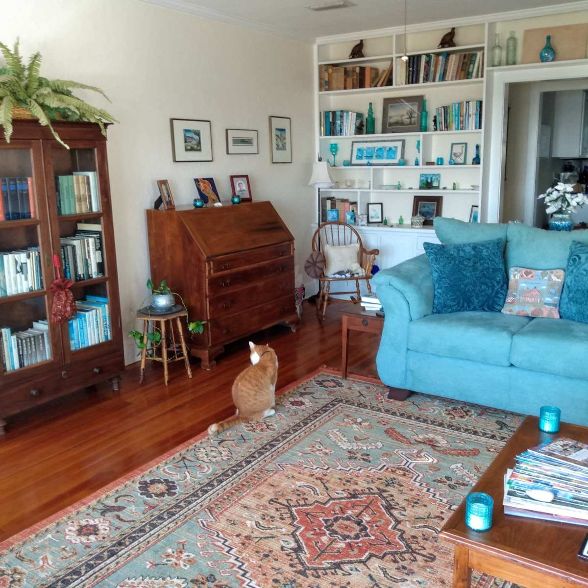 The living room features a blue couch, wooden furniture, a bookshelf filled with books, and a cat resting on the patterned rug.