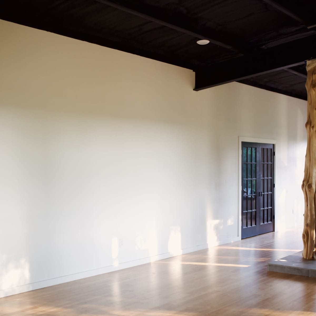 A spacious interior with wooden flooring, a plain white wall, and a doorway framed by a large window.
