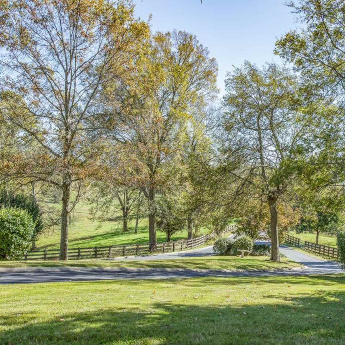 A paved driveway lined with trees leads through a rural landscape featuring grassy areas and wooden fencing.