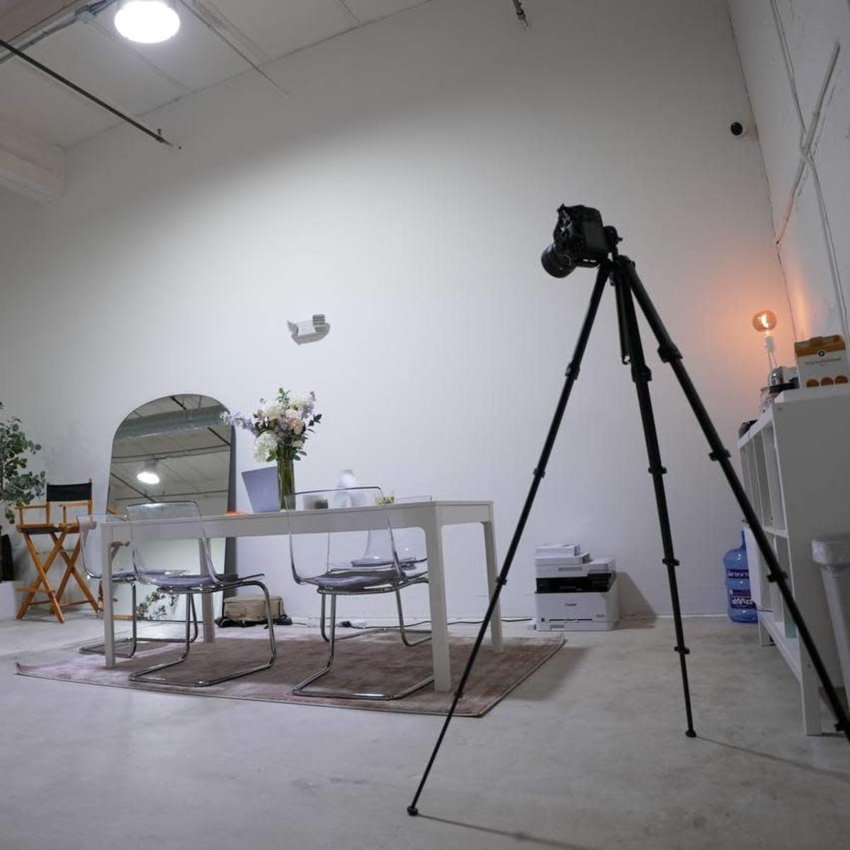 A spacious, minimalist room with a dining table, chairs, a tripod with a camera, and potted plants.