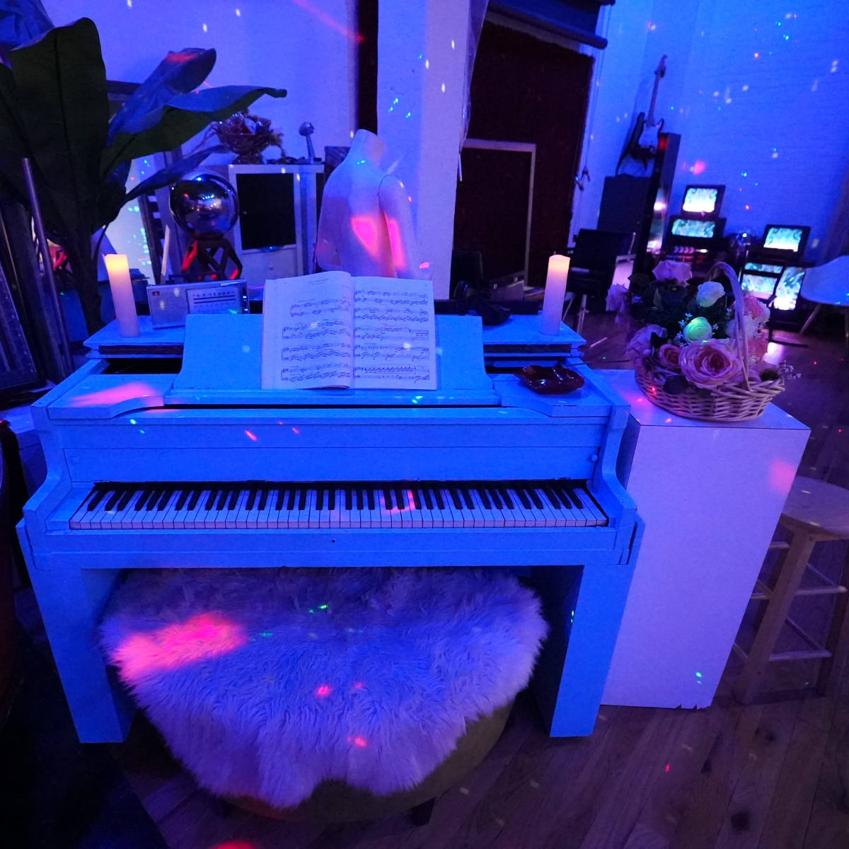 Intimate Boutique Event Space w/ Karaoke in Brooklyn Image in East Williamsburg, Brooklyn, NY