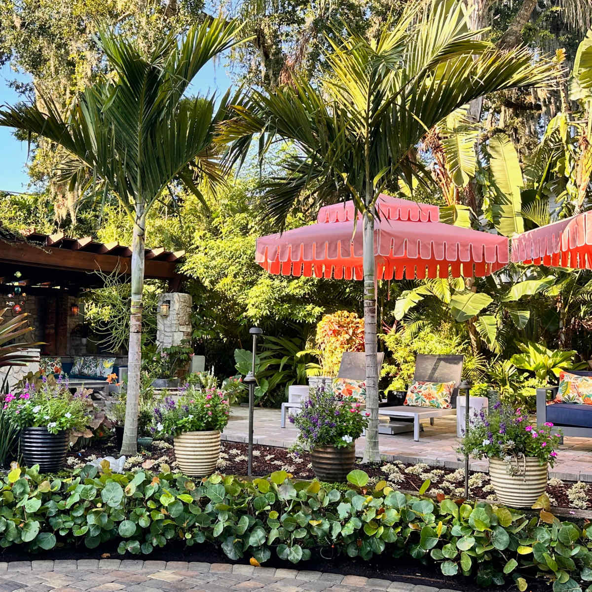 A landscaped patio features palm trees, colorful seating, and potted plants arranged in a row.