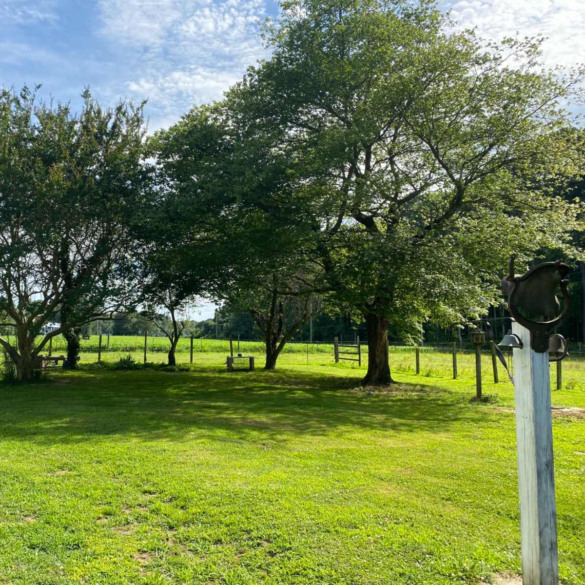 A grassy area features two trees and a wooden swing, with a fence and fields in the background.