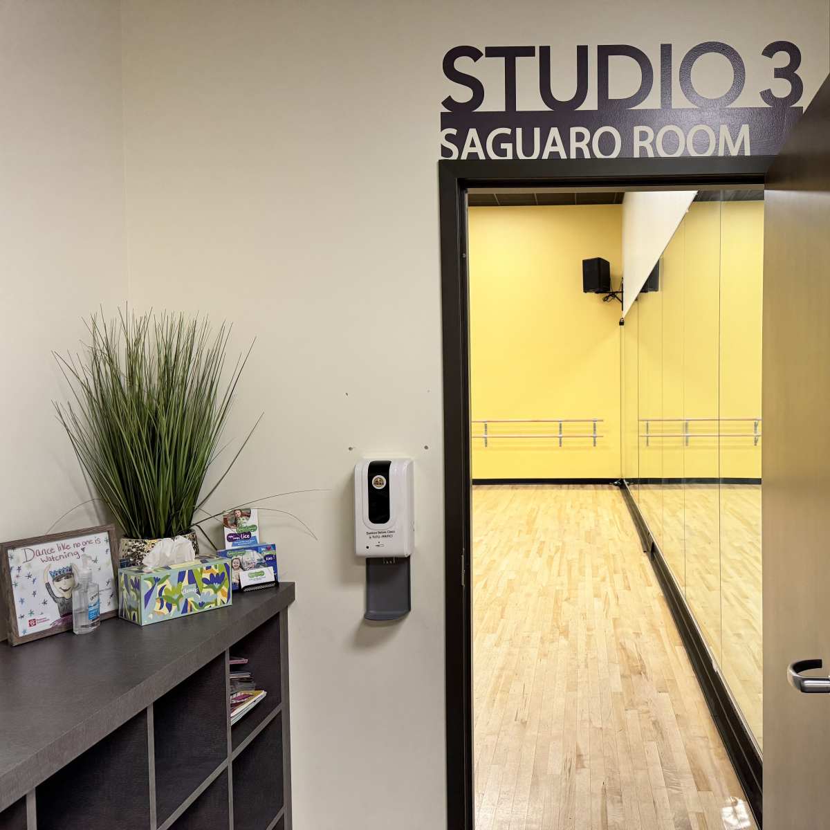 The entrance to Studio 3, labeled as the Saguaro Room, featuring a hallway with a mirror and wooden flooring inside.