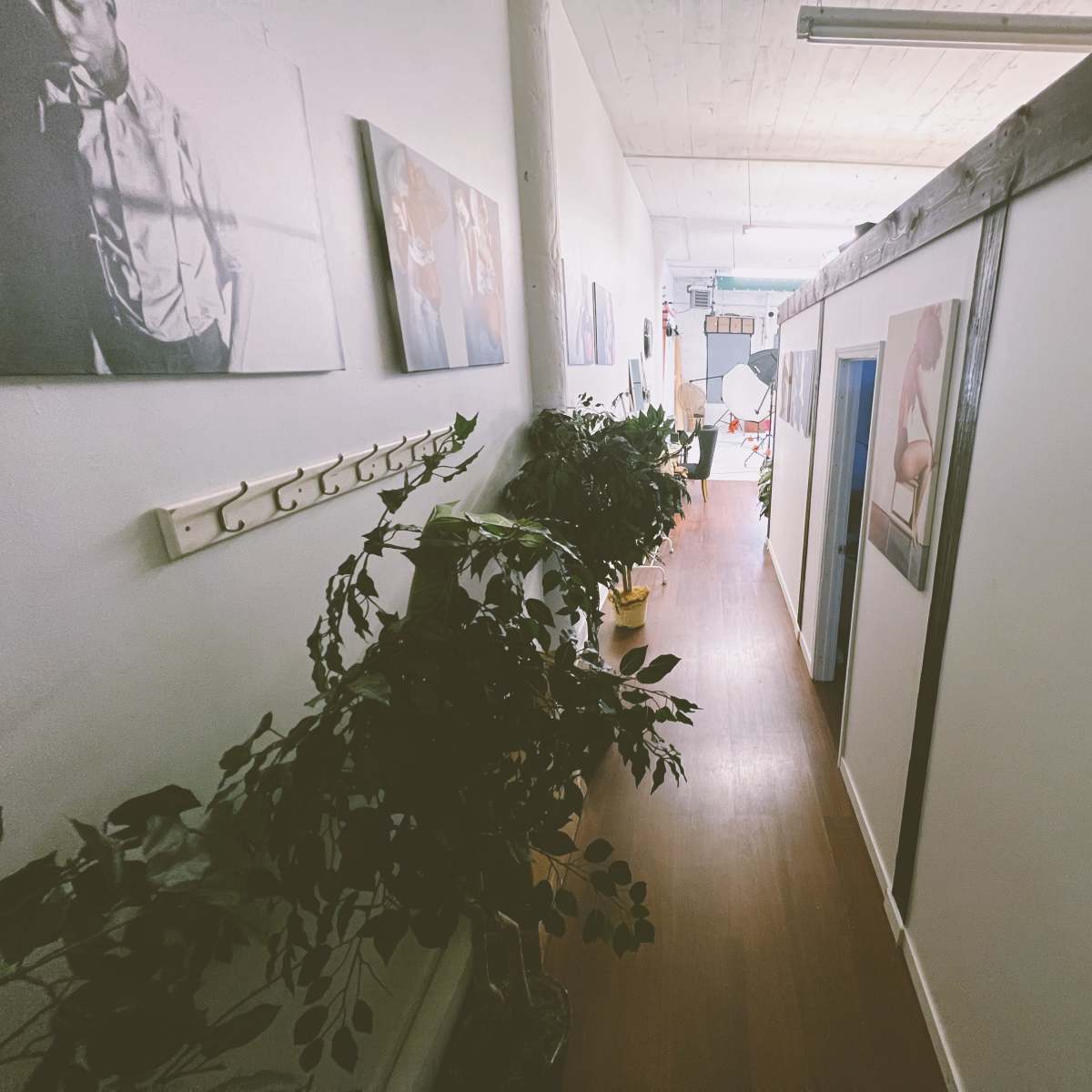 A long hallway is lined with potted plants and framed photographs on the walls, leading to a brightly lit area at the end.