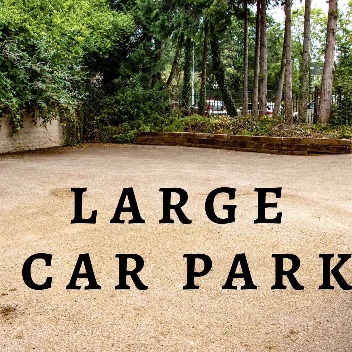 A spacious car park surrounded by trees and greenery.