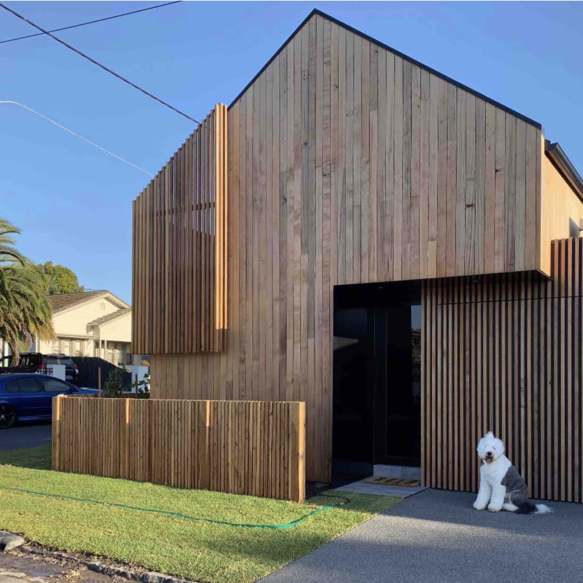 A modern, wooden-clad house with vertical slats and a dog sitting on the concrete pathway in front.