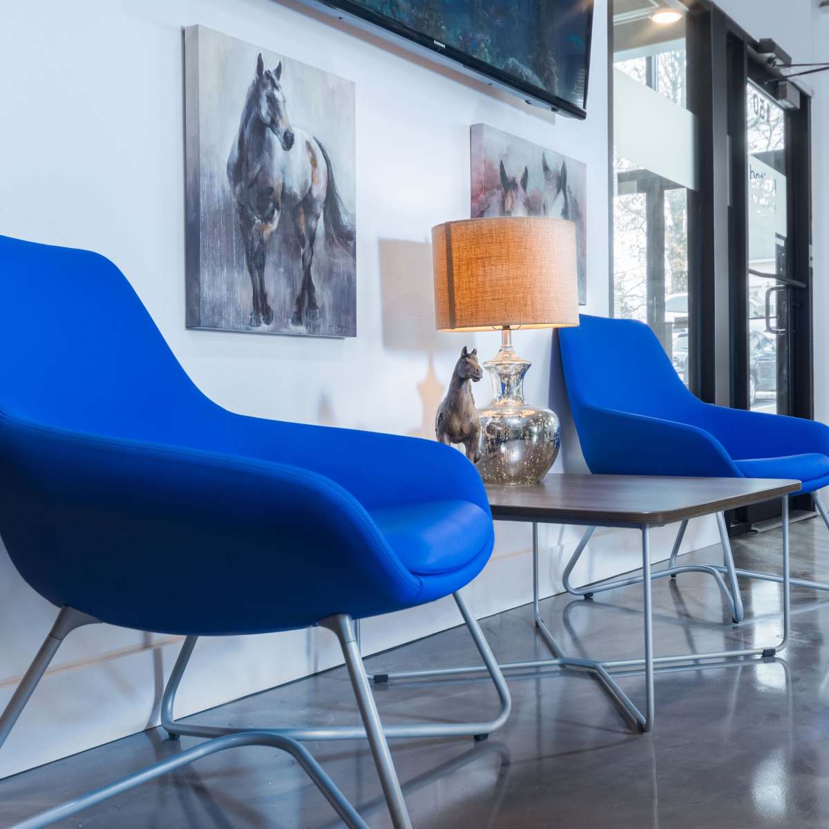 Two blue chairs are positioned beside a wooden table, with a lamp and decorative items, in a brightly lit modern room featuring horse-themed artwork on the walls.