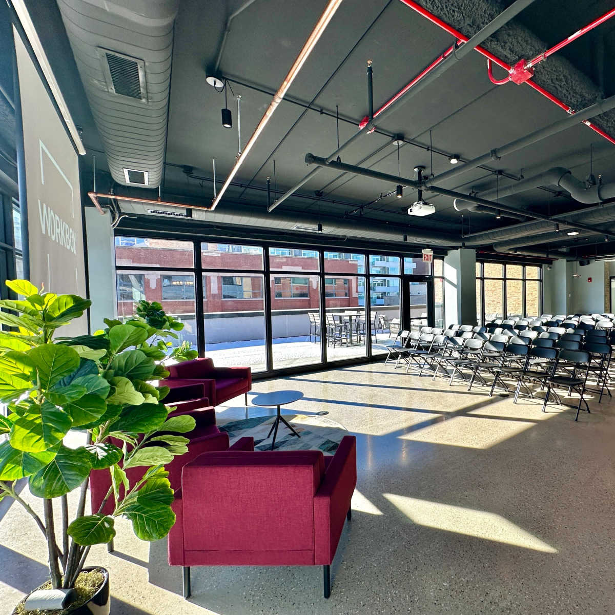 A modern event space with rows of chairs set up facing large windows and a green plant in the foreground.