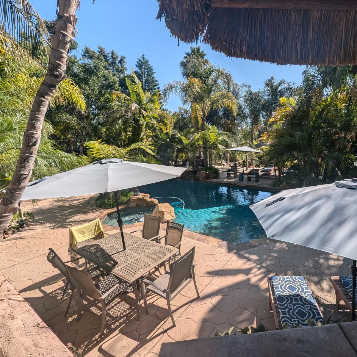 A backyard pool area features a stone pool surrounded by lush greenery, shaded by umbrellas, with a dining set and lounge chairs nearby.