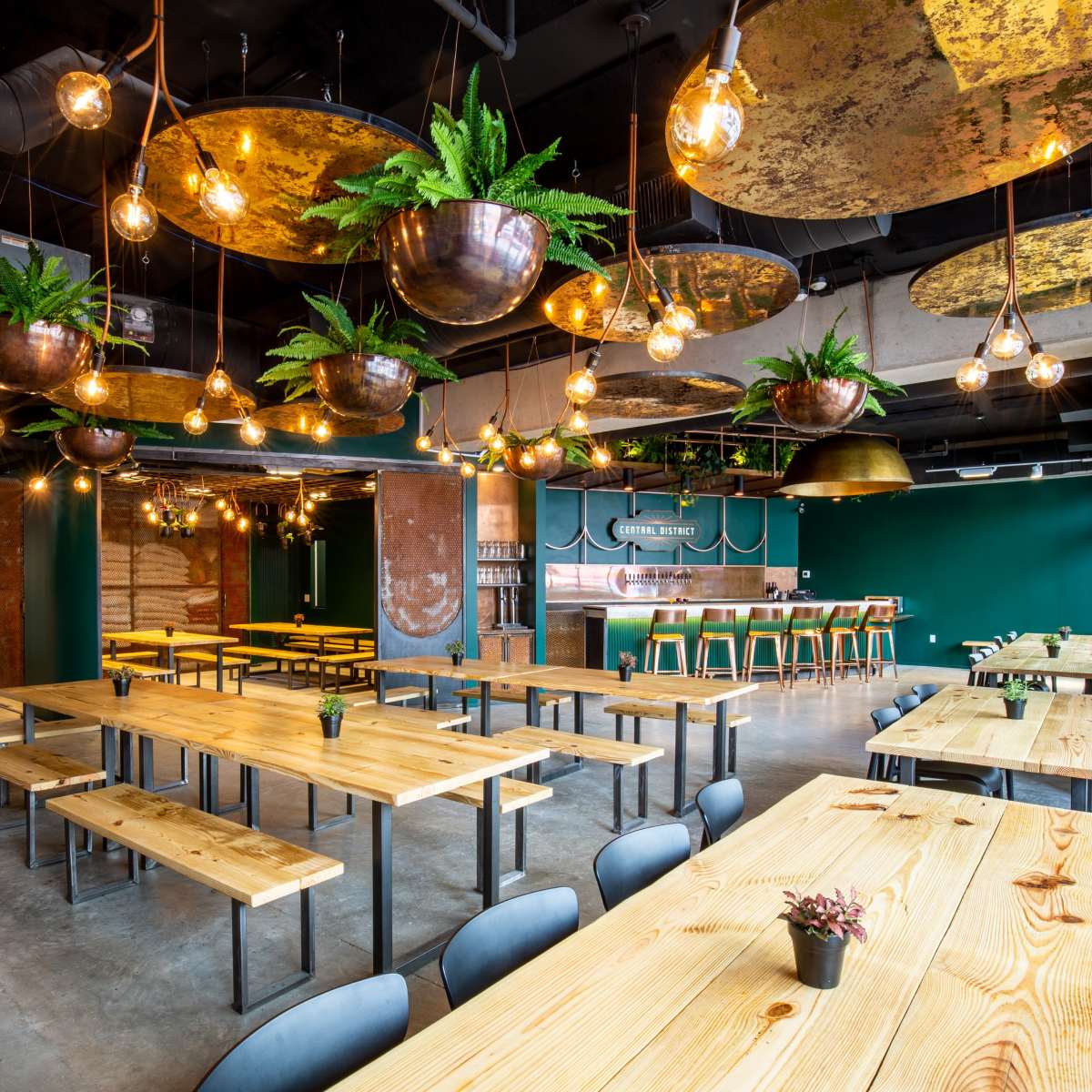 A modern restaurant interior features long wooden tables, black chairs, and hanging light fixtures with greenery against a backdrop of teal and metallic decor.