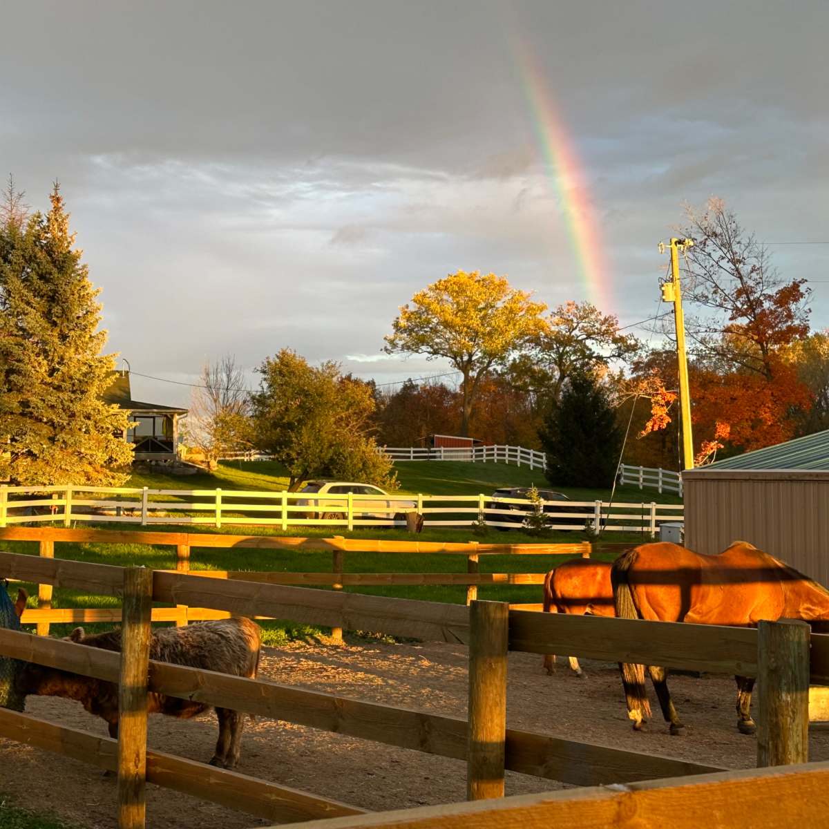 Gorgeous farm property with rolling hills, white fences, plenty of trees, one acre pond, indoor offices/studios/changing rooms, and bathrooms. in Minnetrista Image in Minnetrista, Minnetrista, MN