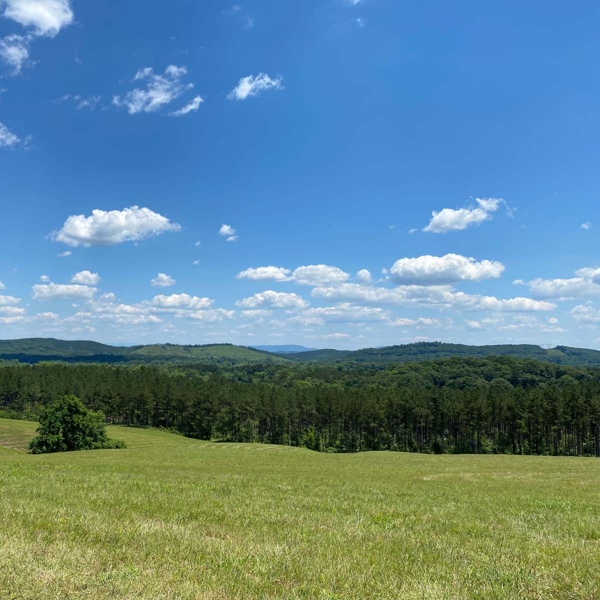 A green field stretches out under a blue sky filled with scattered clouds, bordered by rolling hills and dense forests.
