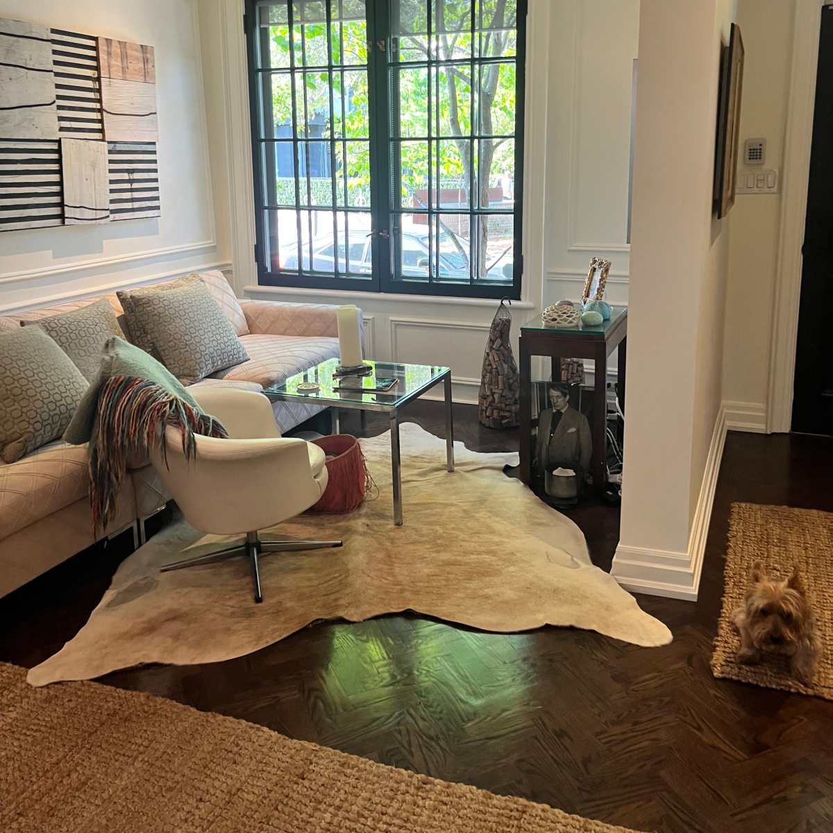 A modern living room with a beige sofa, a glass coffee table on a cowhide rug, and a small dog resting on the floor near a window.