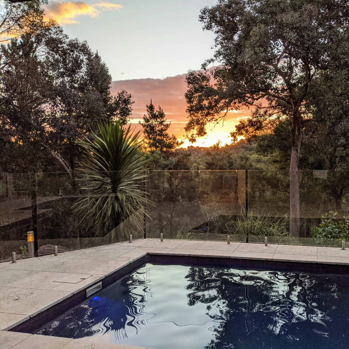 A pool surrounded by greenery with a view of a sunset over the horizon.