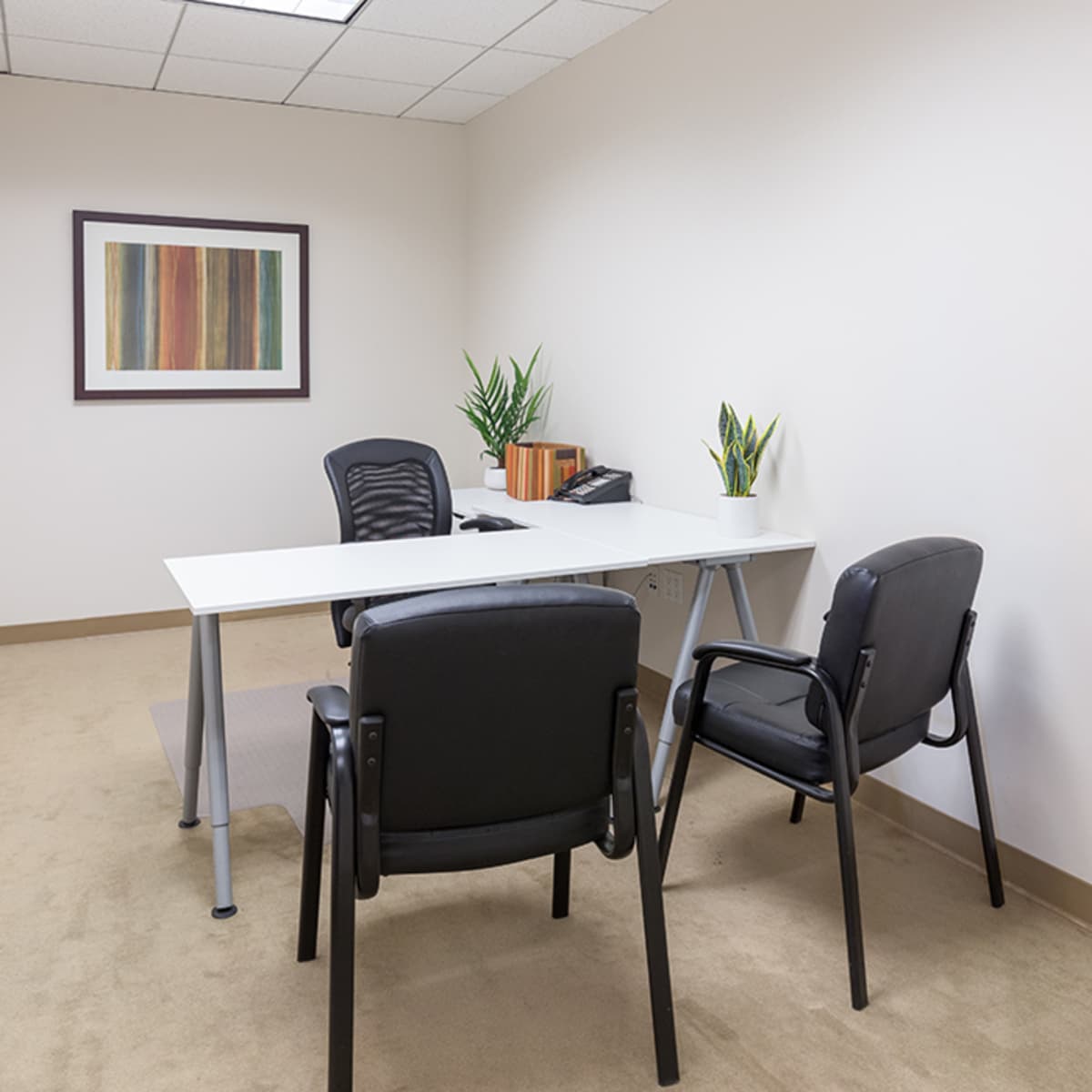 An empty office space features a white desk, two black chairs, a plant, and a framed artwork on the wall.