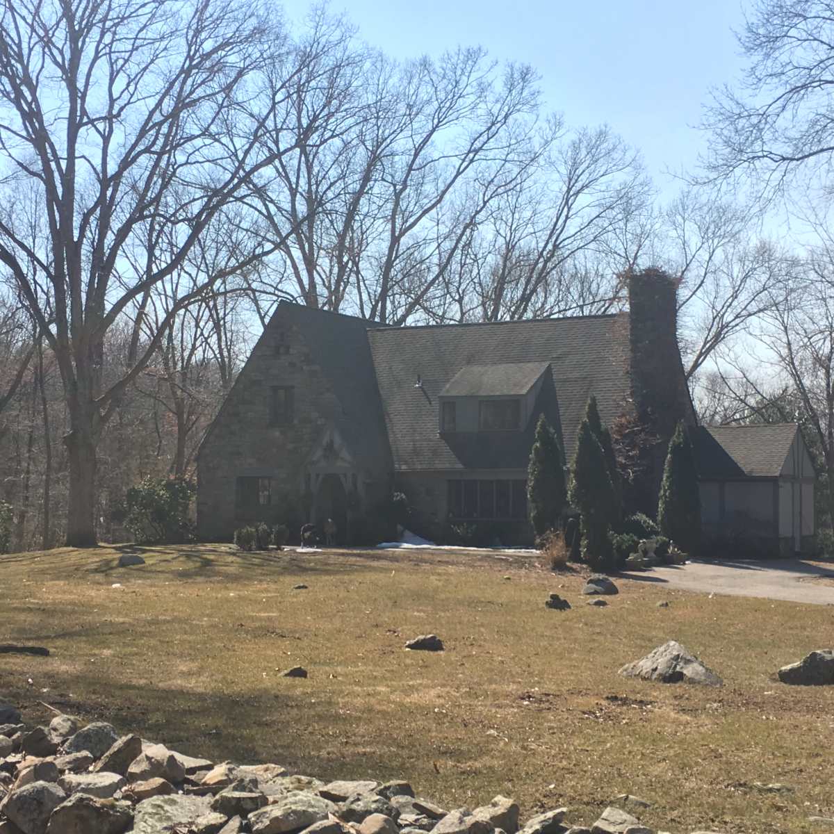A stone house with a steep roof and a chimney sits on a grassy lot surrounded by bare trees.