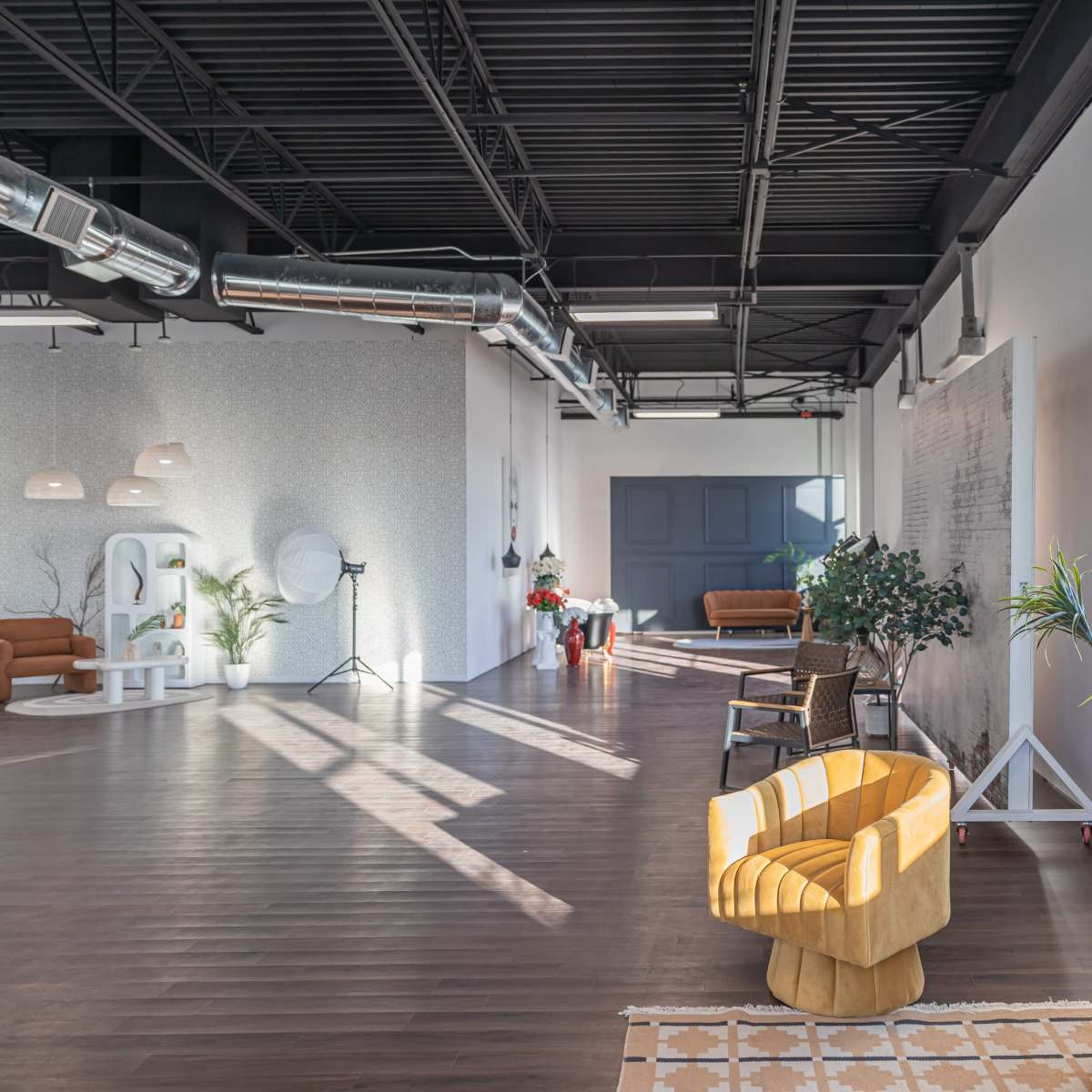 Spacious and Versatile Frisco Natural Light Studio with Outdoor Sunset Patio in Frisco Image in Phillips Creek Ranch, Frisco, TX