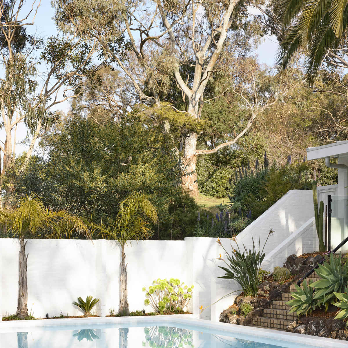 The Fender House, a large, palm springs style mid-century house in Mount Martha Image in Mount Martha, Mount Martha, VIC