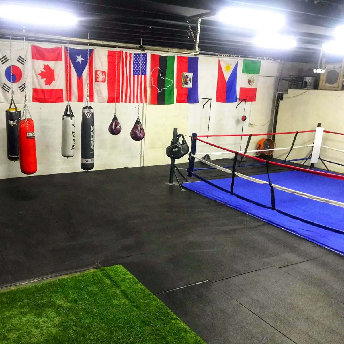 A boxing gym with hanging punching bags, a boxing ring, and several international flags displayed on the wall.