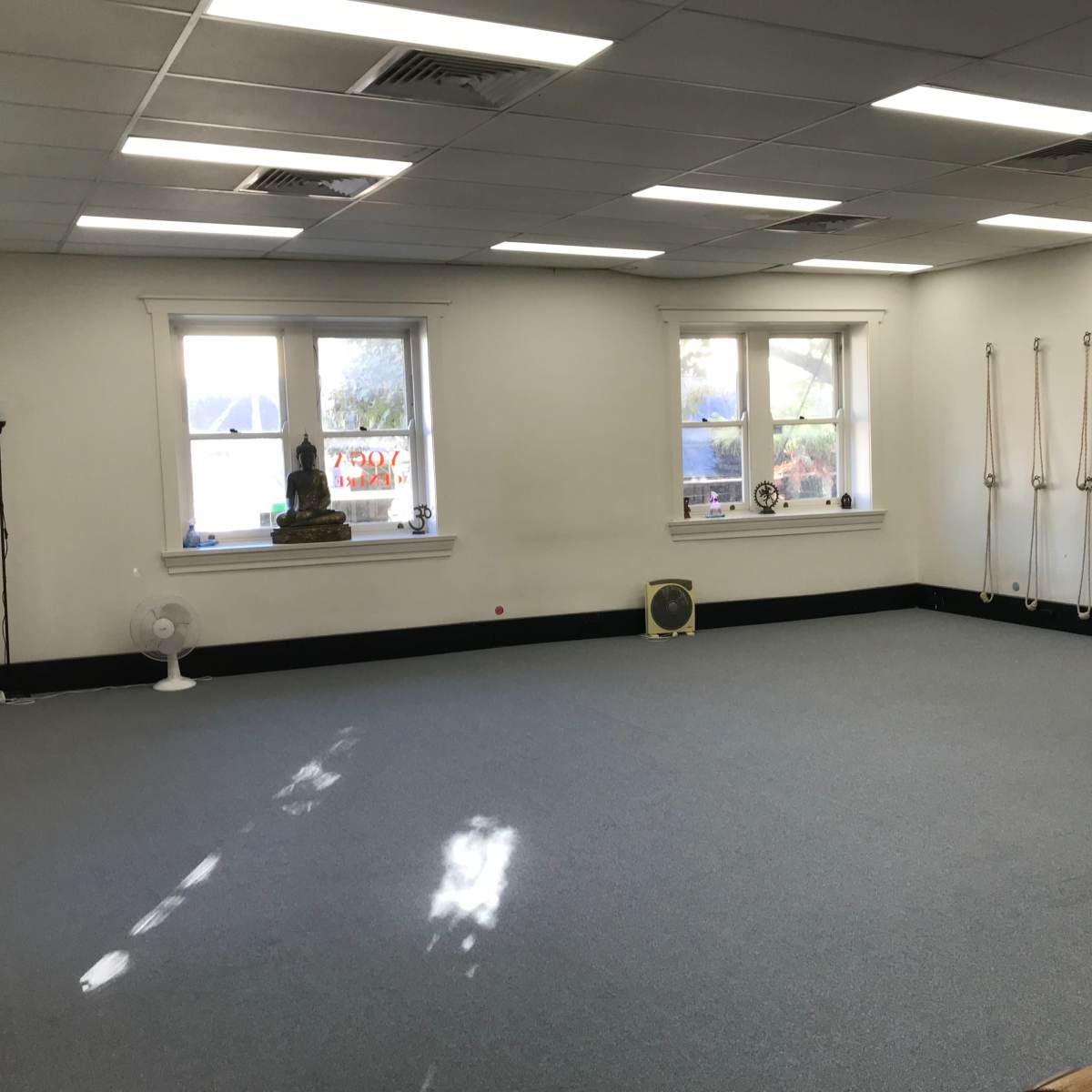 A spacious room with gray carpet, large windows, and yoga straps hanging on the wall.