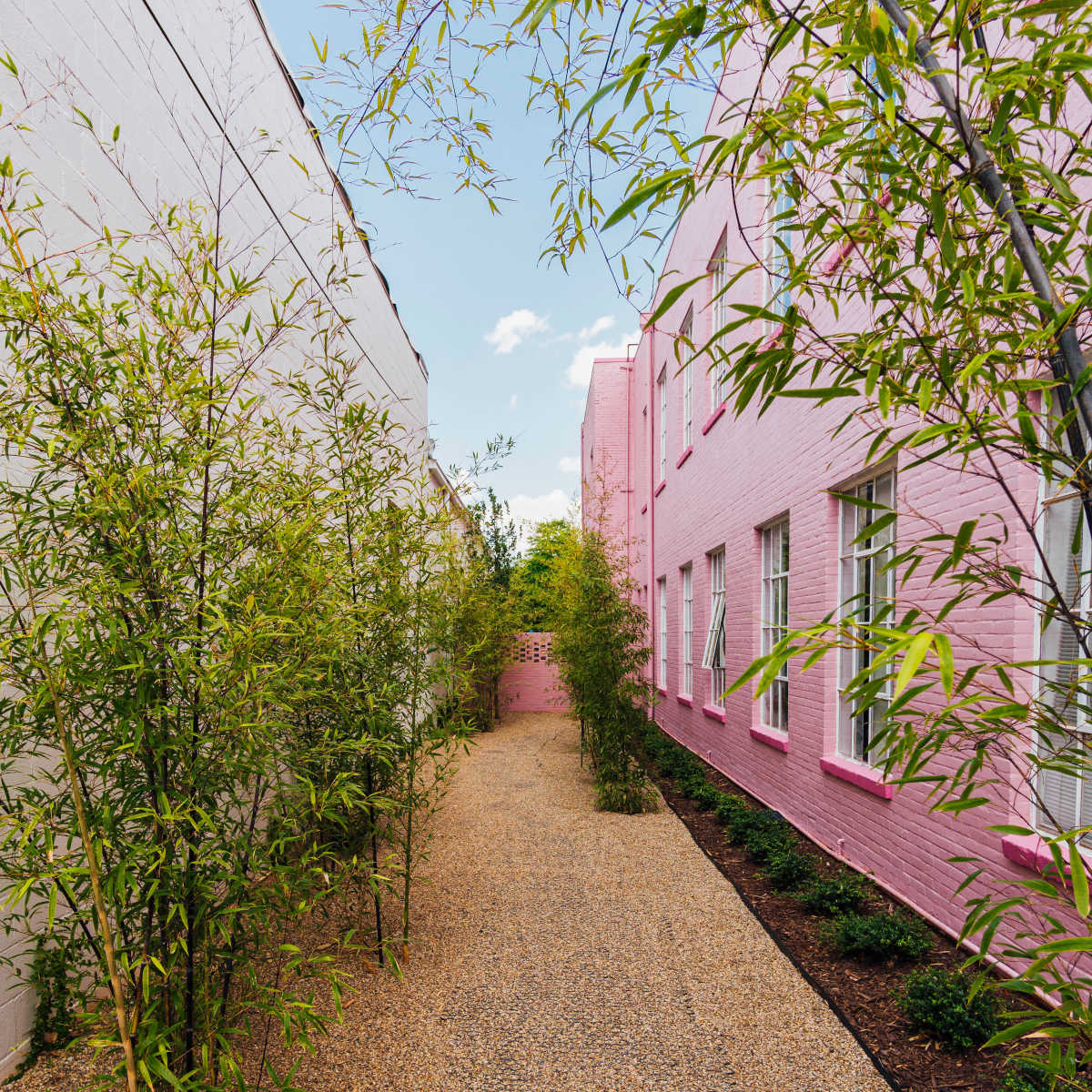 A narrow pathway lined with bamboo vegetation runs between two brightly colored buildings.