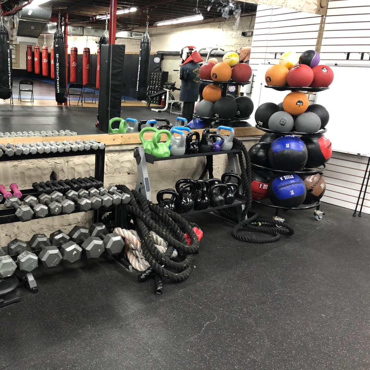 A gym storage area with various weights, kettlebells, battle ropes, and medicine balls organized on shelves.