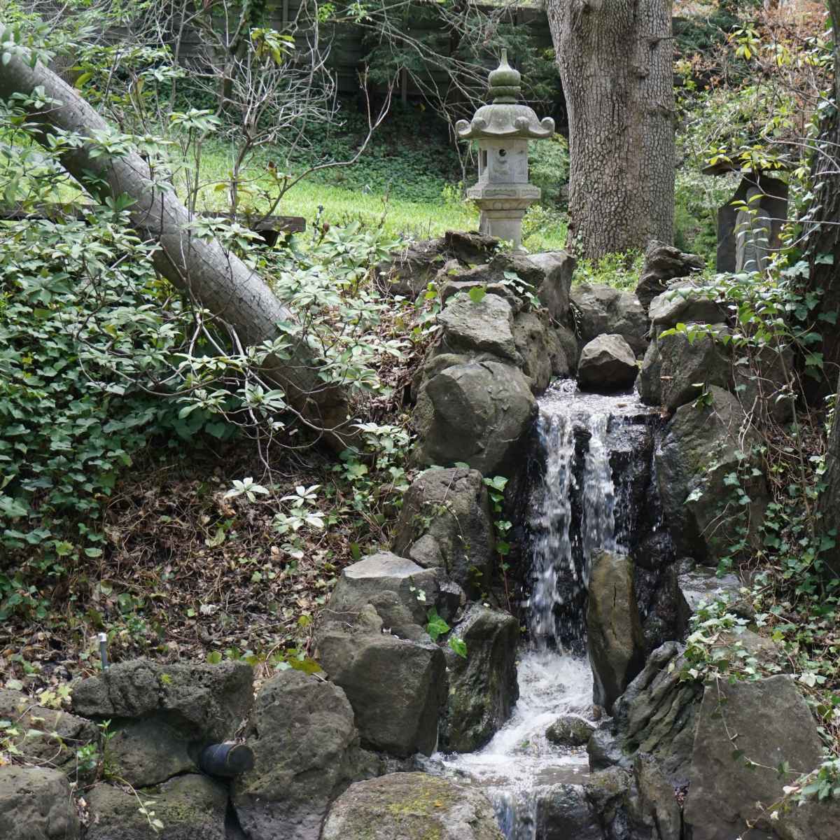 A small waterfall flows over rocks in a wooded area, with a stone lantern nearby.