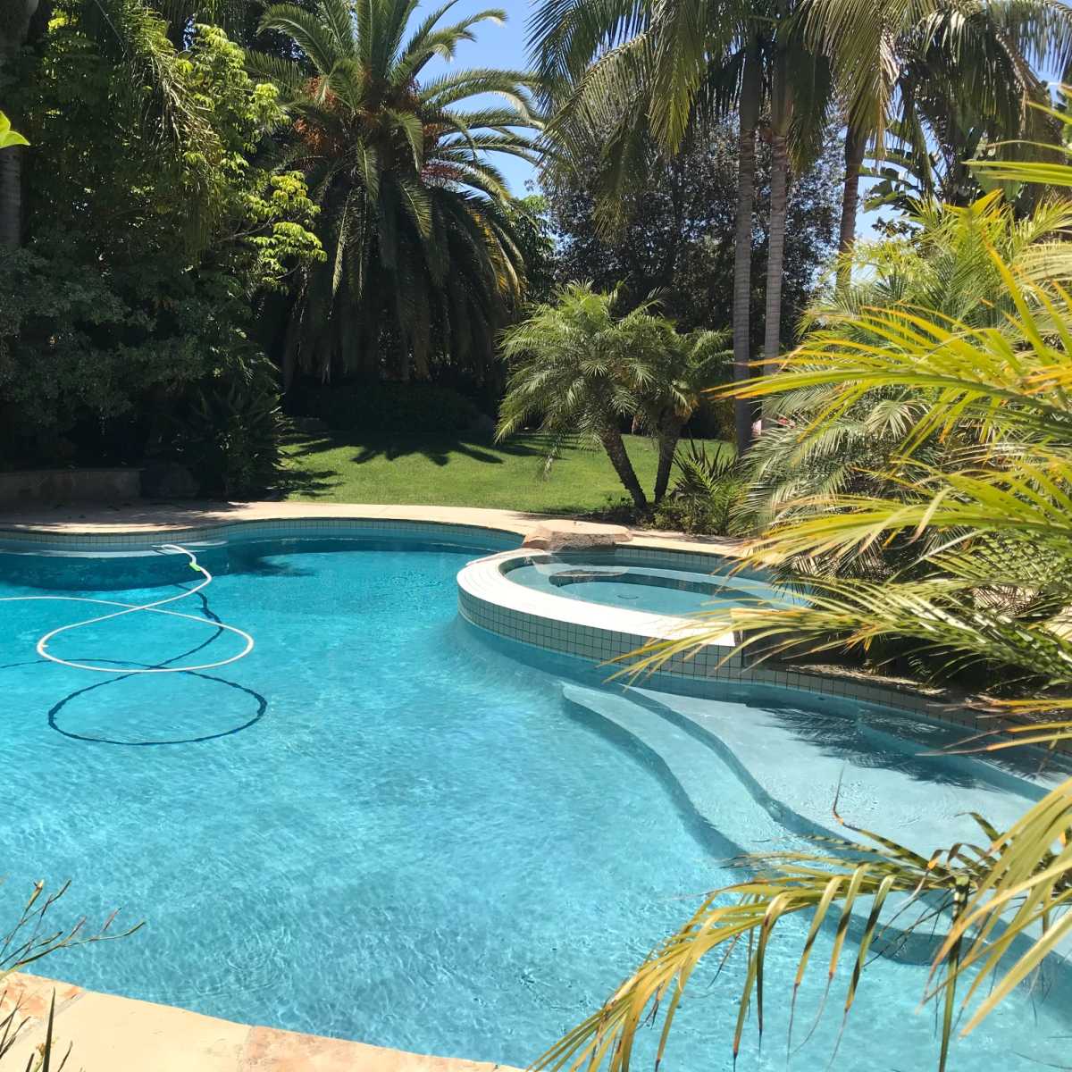 A swimming pool surrounded by lush greenery and palm trees on a sunny day.