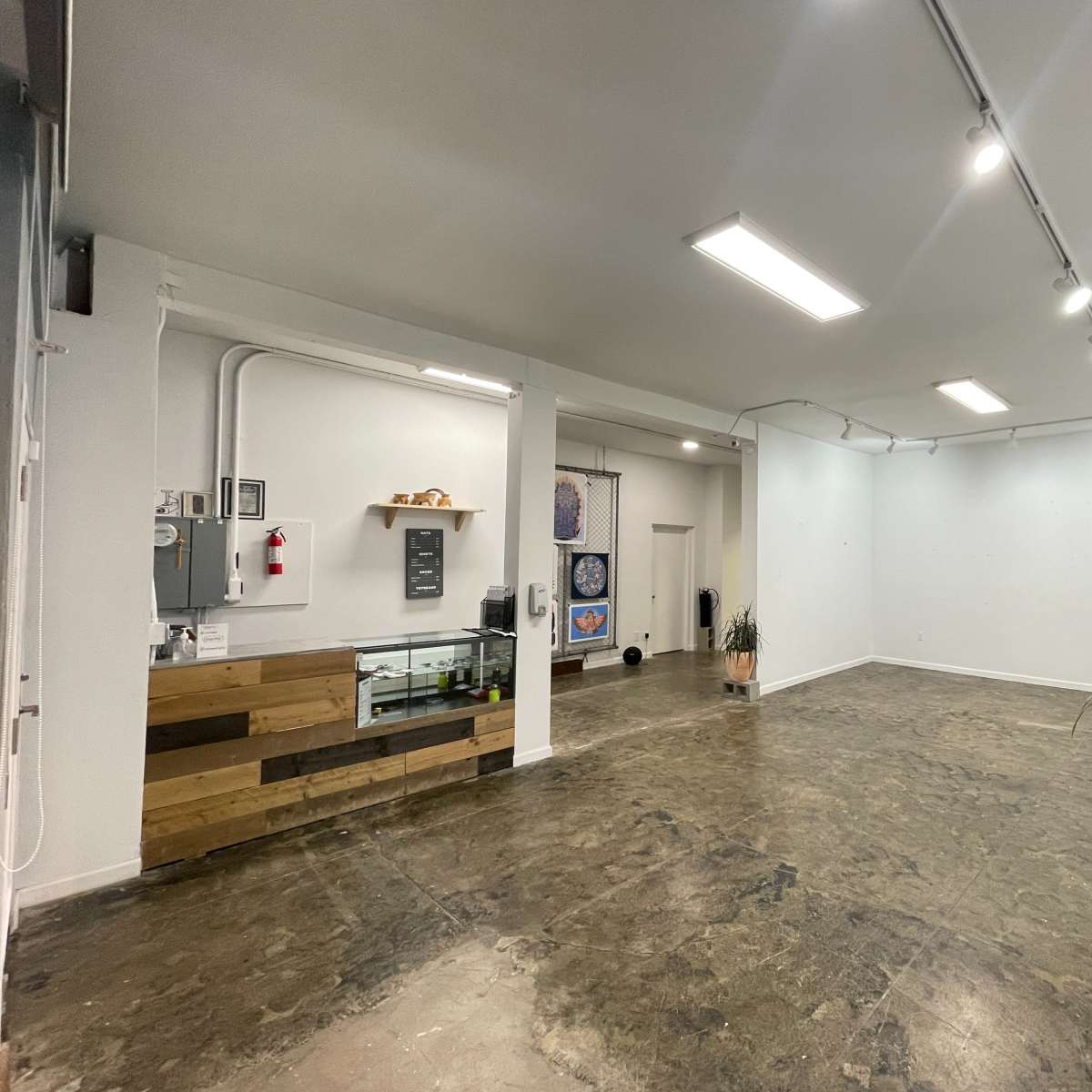 An empty, well-lit interior space with polished concrete floors, a service counter made of wooden planks, and potted plants positioned around the area.