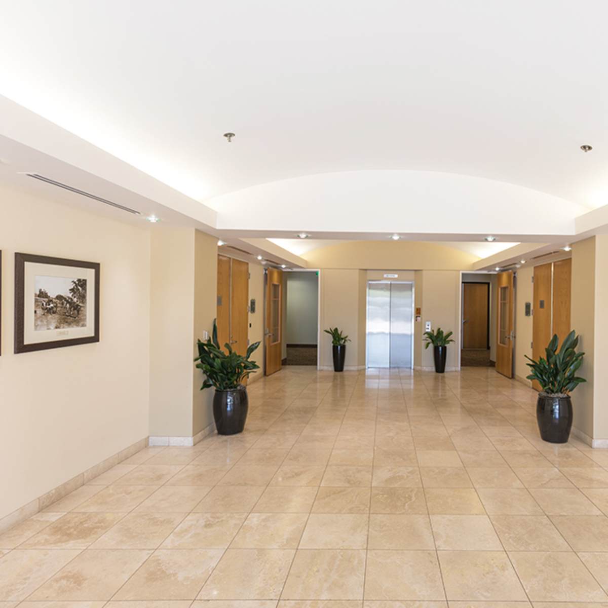 A well-lit corridor with elevator doors and framed pictures on the walls, flanked by potted plants at the sides.