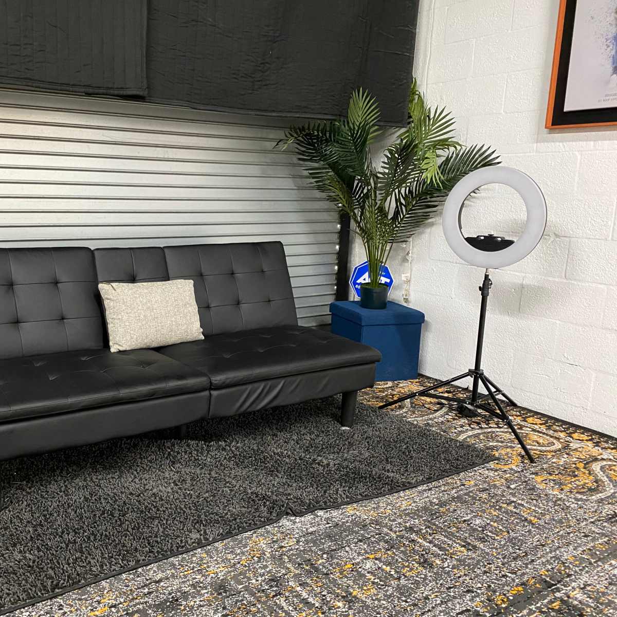A black futon is positioned on a patterned rug in front of a metal backdrop, accompanied by a floor plant and a ring light on a stand.