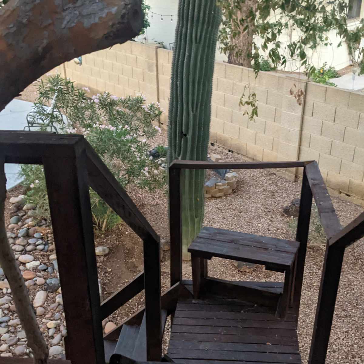 A wooden staircase leads down from a platform to a rocky garden area with a tall cactus and a stone pathway.