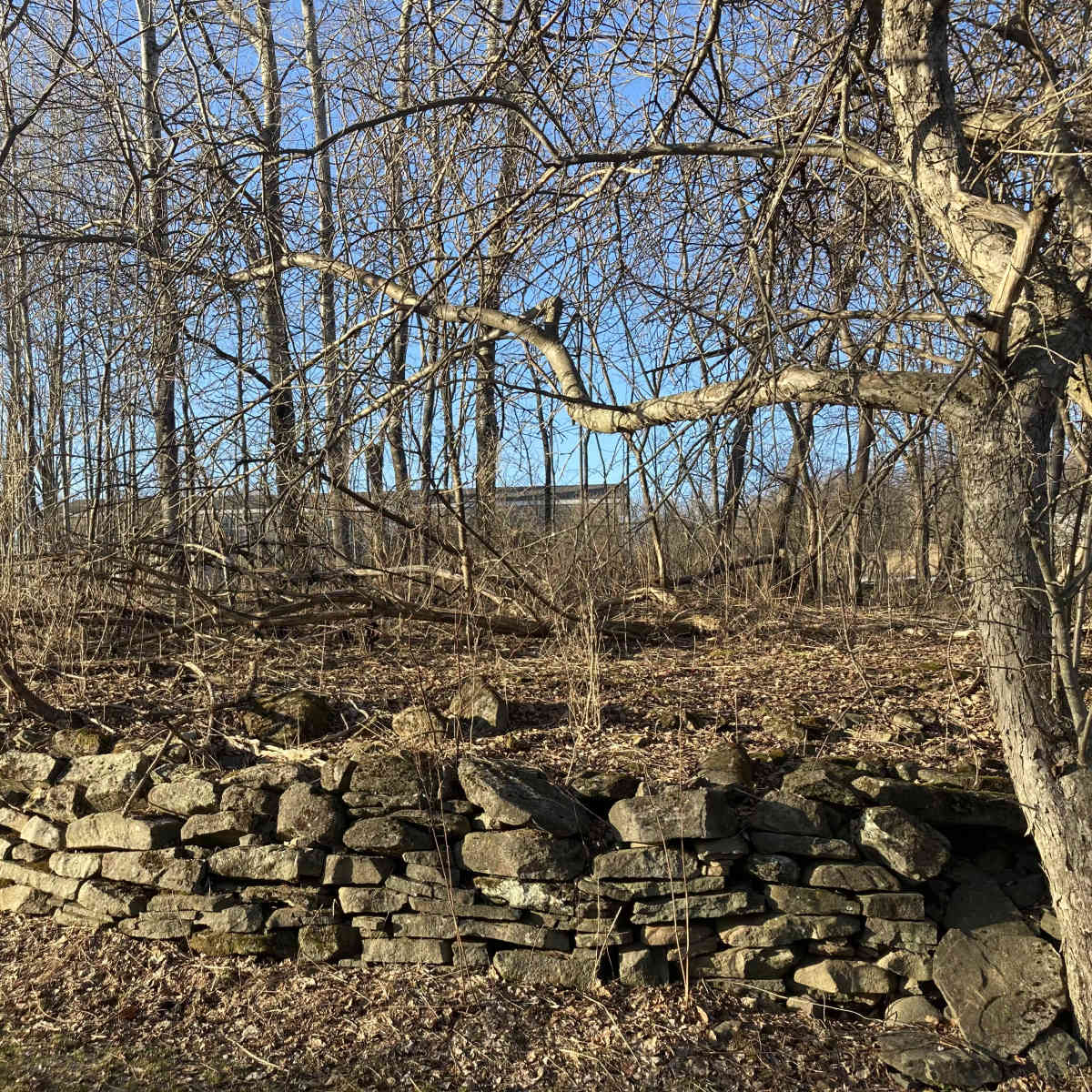 Expansive Farm in the Catskills in Liberty Image in , Liberty, NY