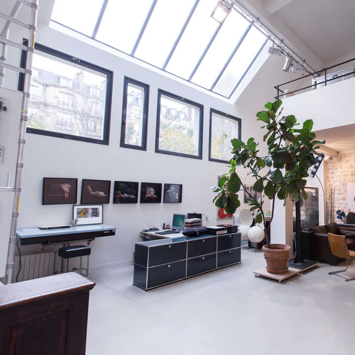 A modern open-concept office space featuring large windows, a central potted tree, and various desks with artwork displayed on the walls.