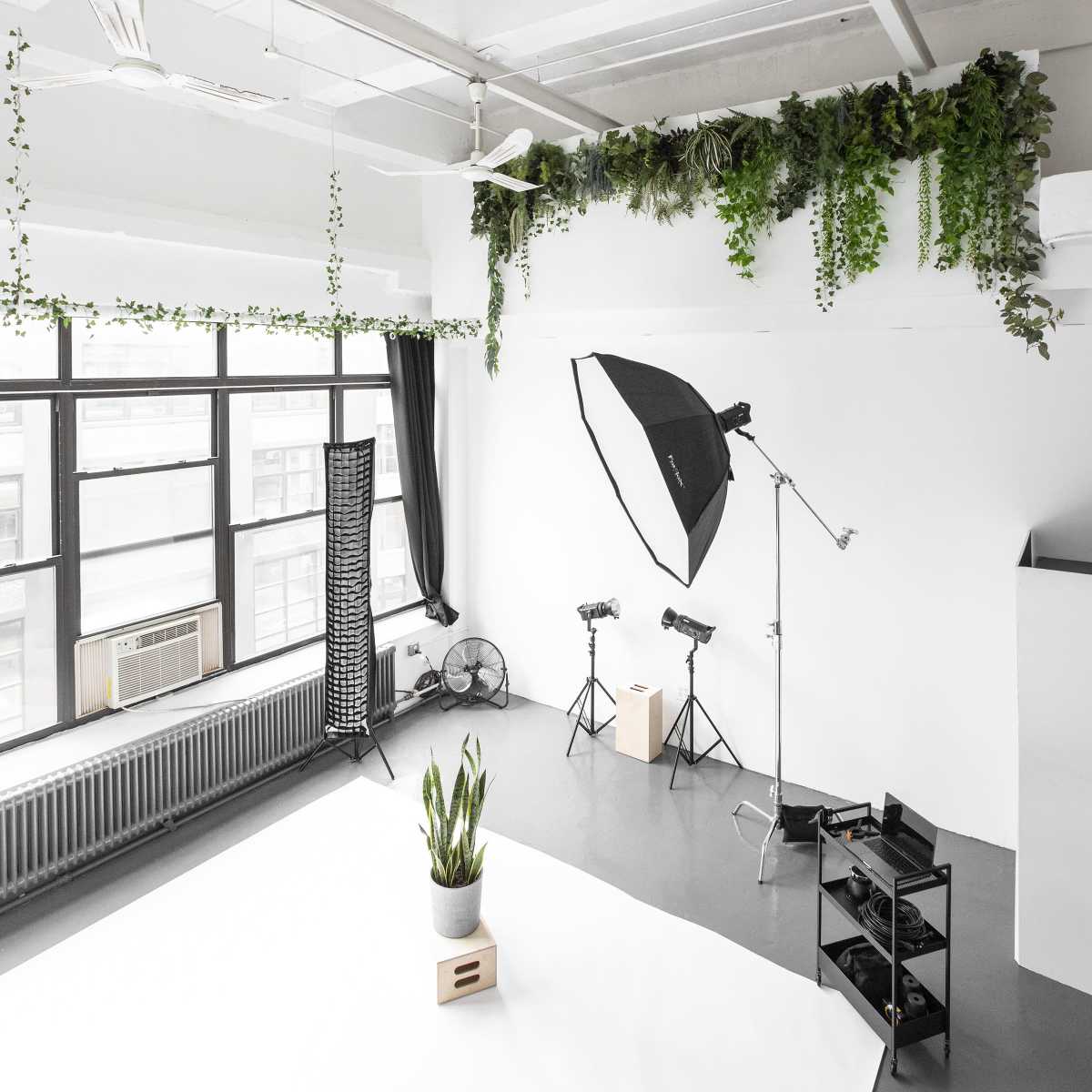 KanopyNYC Photo Studio | Daylight Loft Studio with 20 Foot Ceilings ...