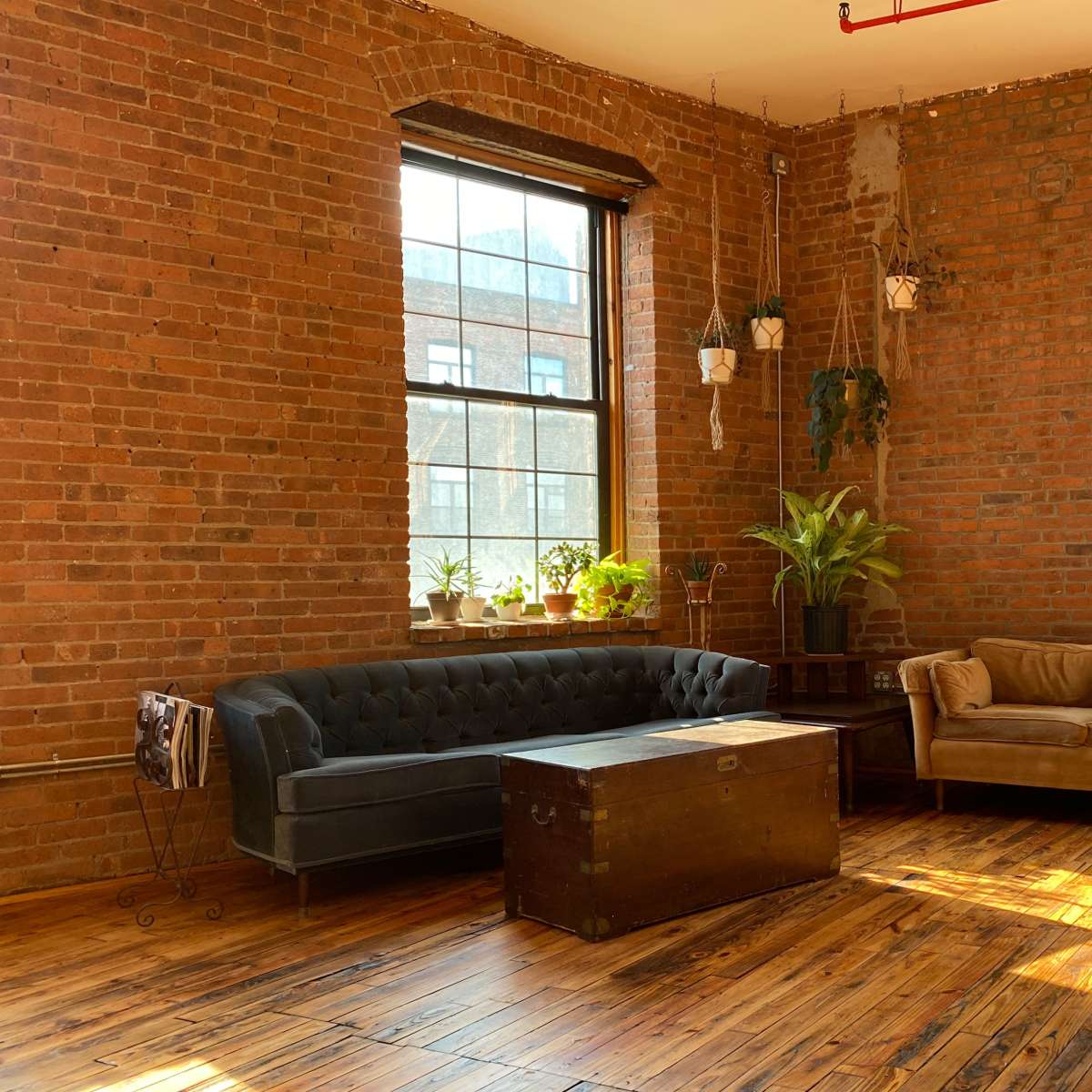 A room with exposed brick walls, two windows, a dark sofa, a light-colored couch, a wooden coffee table, and several plants.