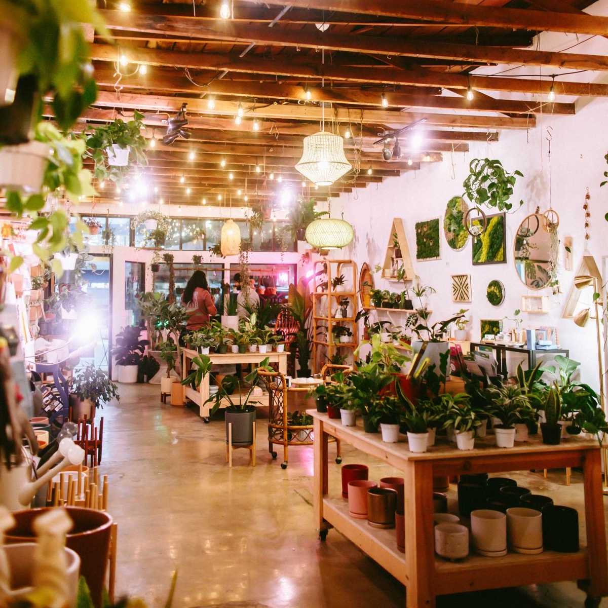 A spacious plant shop features wooden tables filled with various potted plants, surrounded by decorative items and string lights hanging from the ceiling.