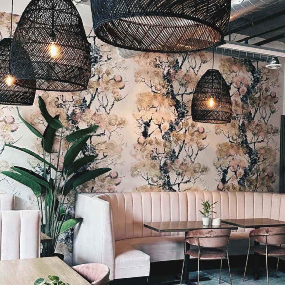 Full restaurant /  Aesthetic Lounge Space in Seattle Image in Adams, Seattle, WA