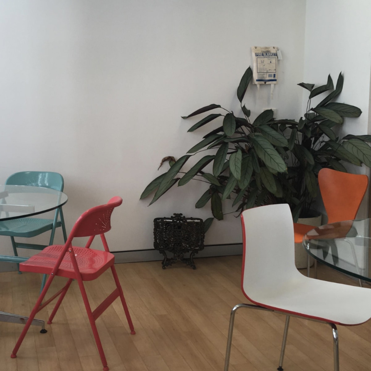 A modern room with glass tables and colorful chairs arranged around them, alongside a large potted plant.
