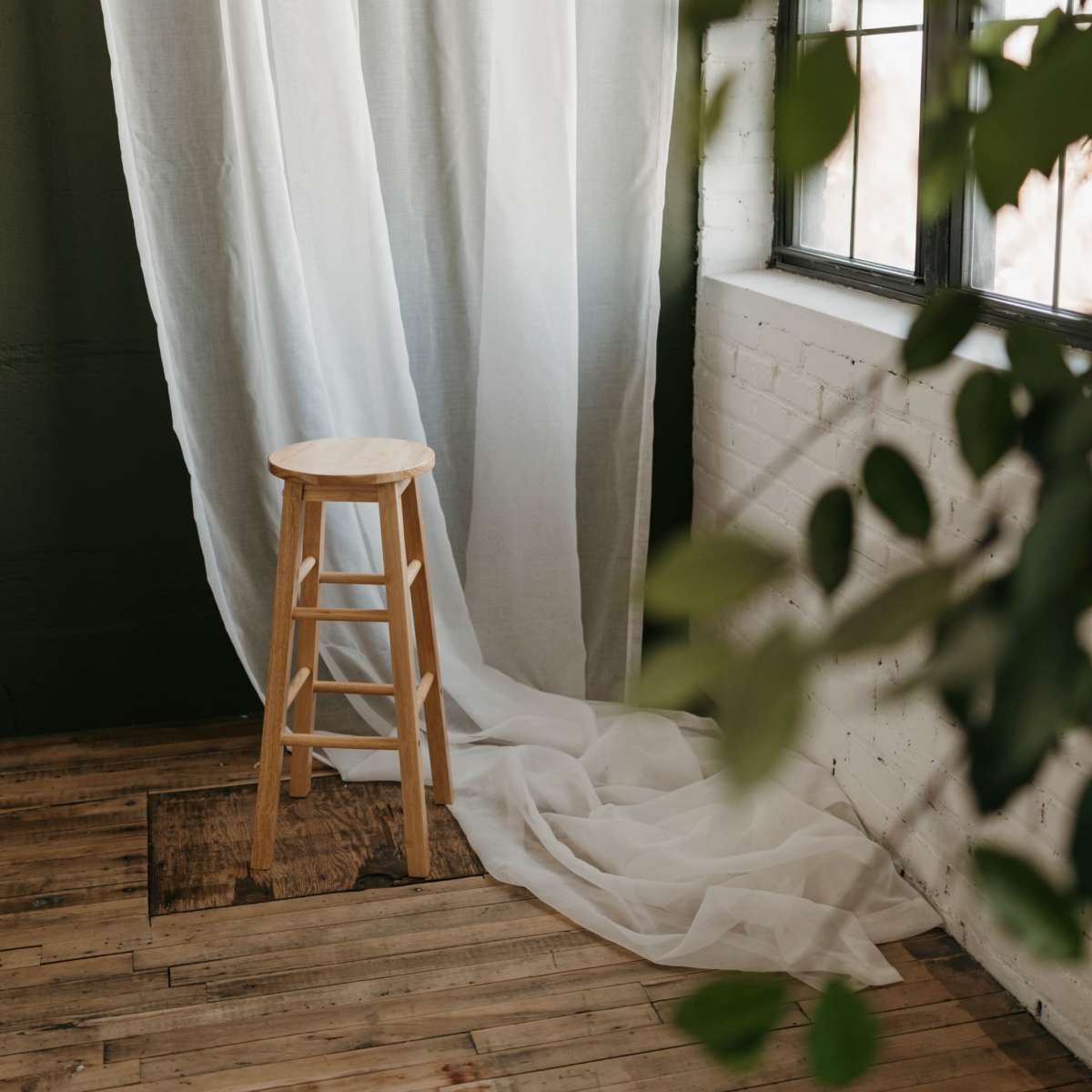 Natural light photo studio in northeast Minneapolis with neutral colors and an emphasis on plants/greenery in Minneapolis Image in Northeast Minneapolis Arts District, Minneapolis, MN