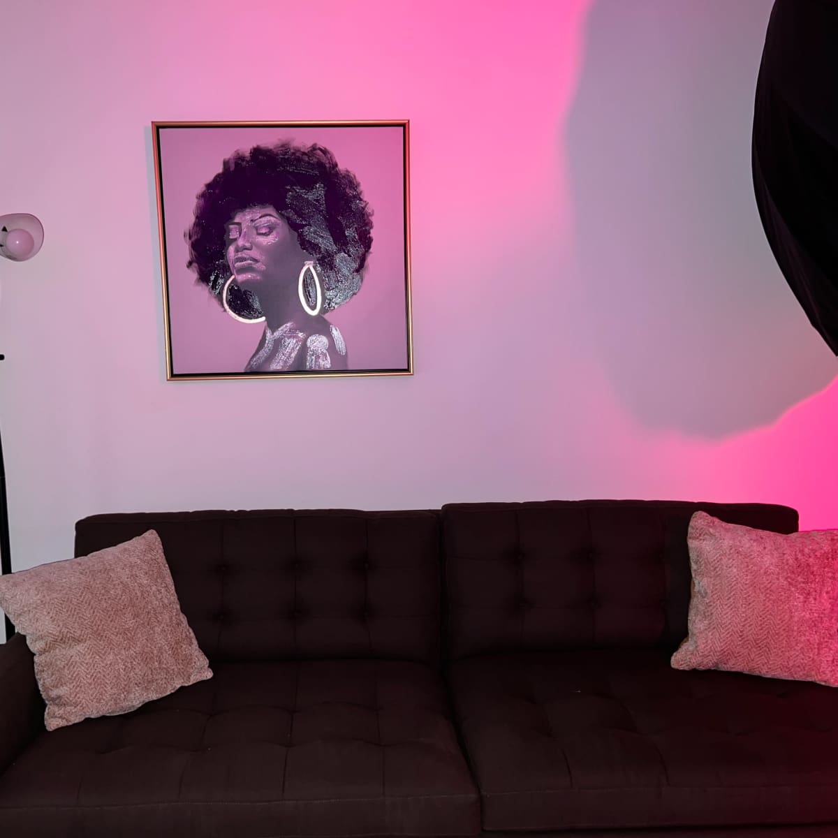 A brown sofa with two decorative pillows, positioned beneath a wall-mounted artwork of a woman, while a floor lamp is situated nearby and a lighting umbrella is visible in the scene.