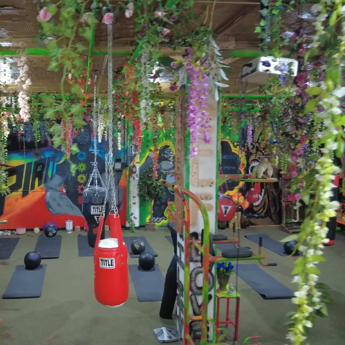 A colorful gym interior adorned with hanging plants and flowers, featuring exercise mats, a punching bag, and various workout equipment.