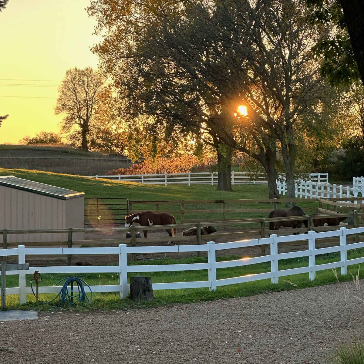Gorgeous farm property with rolling hills, white fences, plenty of trees, one acre pond, indoor offices/studios/changing rooms, and bathrooms. in Minnetrista Image in Minnetrista, Minnetrista, MN