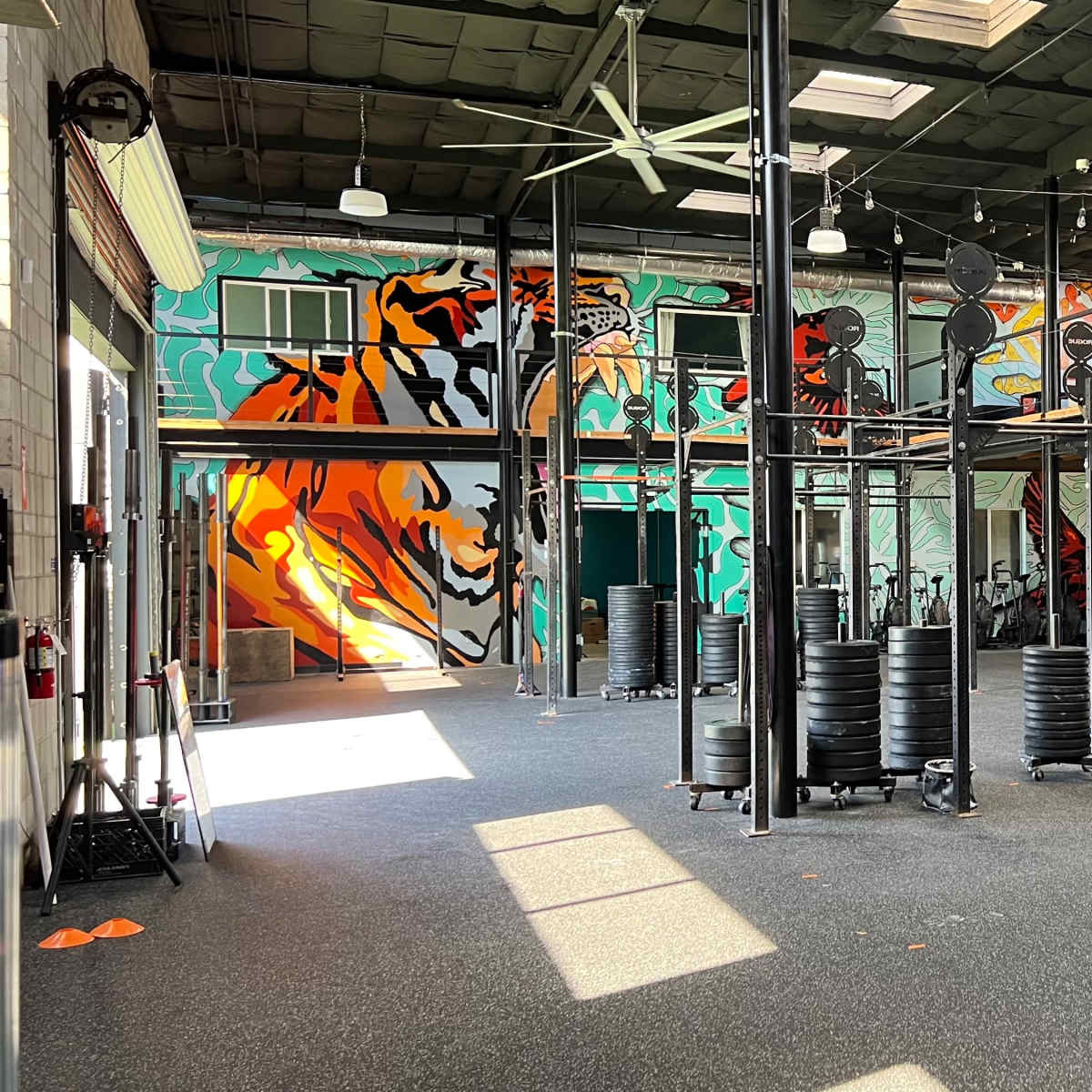 A brightly lit gym with black weight plates stacked on the floor and colorful murals on the walls.