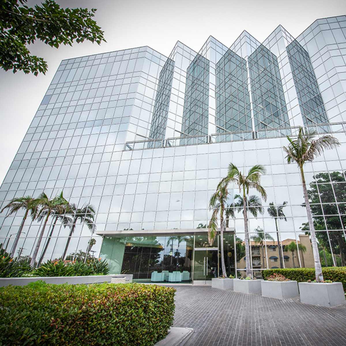 A modern glass office building surrounded by palm trees and landscaped greenery.